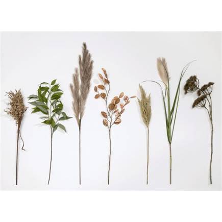 Coco Maison Pampus Grass kunstbloem H120cm